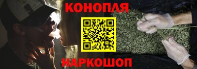 Альфа ПВП Кингисепп